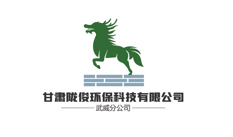 甘肃陇俊环保科技有限公司武威分公司-logo设计