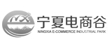 宁夏电商谷 网站建设